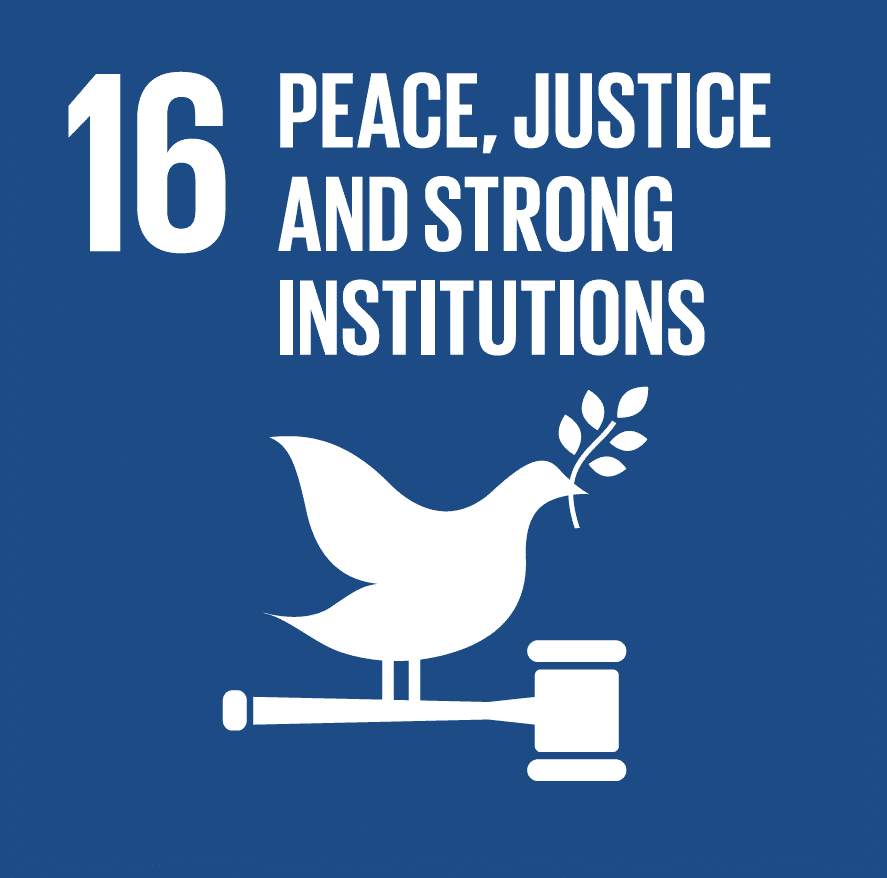 17sdgs-16