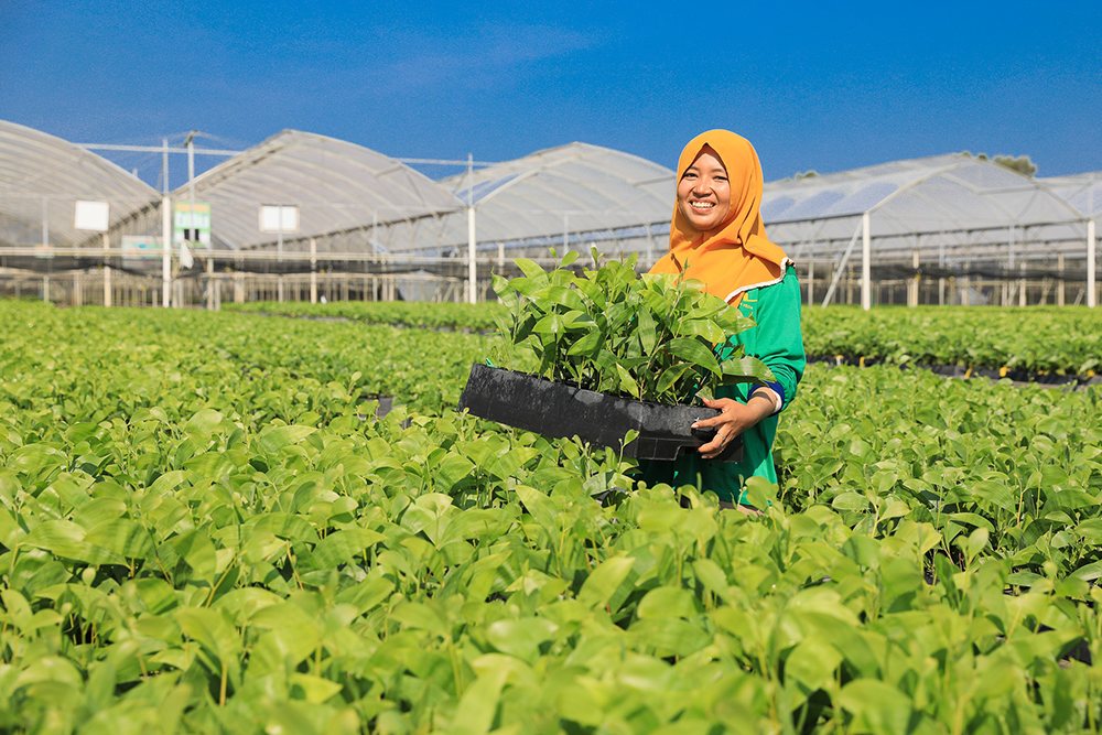 Sustainable Development Goals In Action